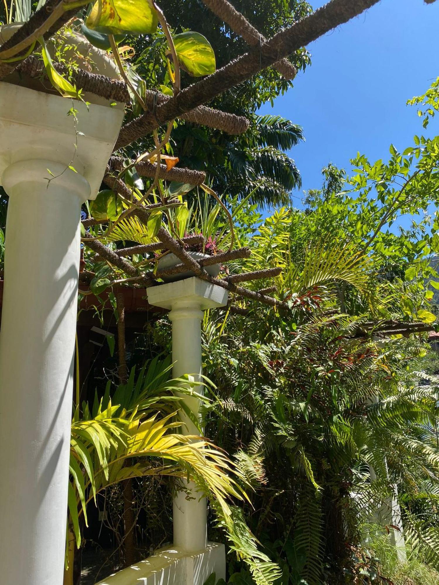 Villa Olde Ceylon Kandy Eksteriør billede